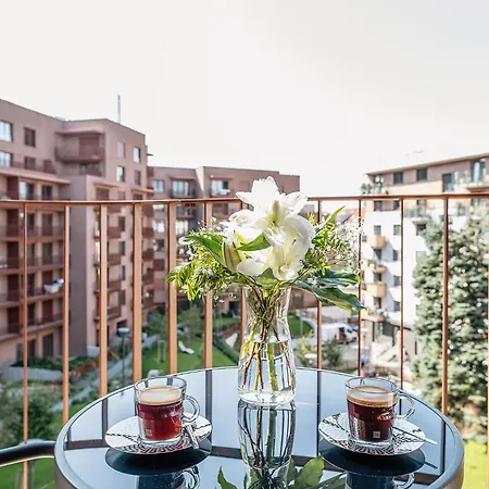 Zwirn City Centre Apt, 2 Parking Space, Business&Pleasure